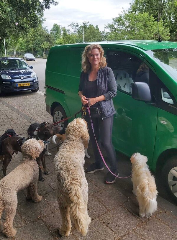 de bus waarin de honden vervoerd worden voor de hondenuitlaatservice